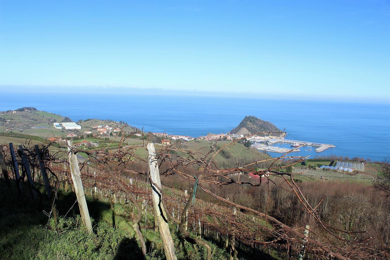 Gazteategi Bed and Breakfast Zarautz Eksteriør billede